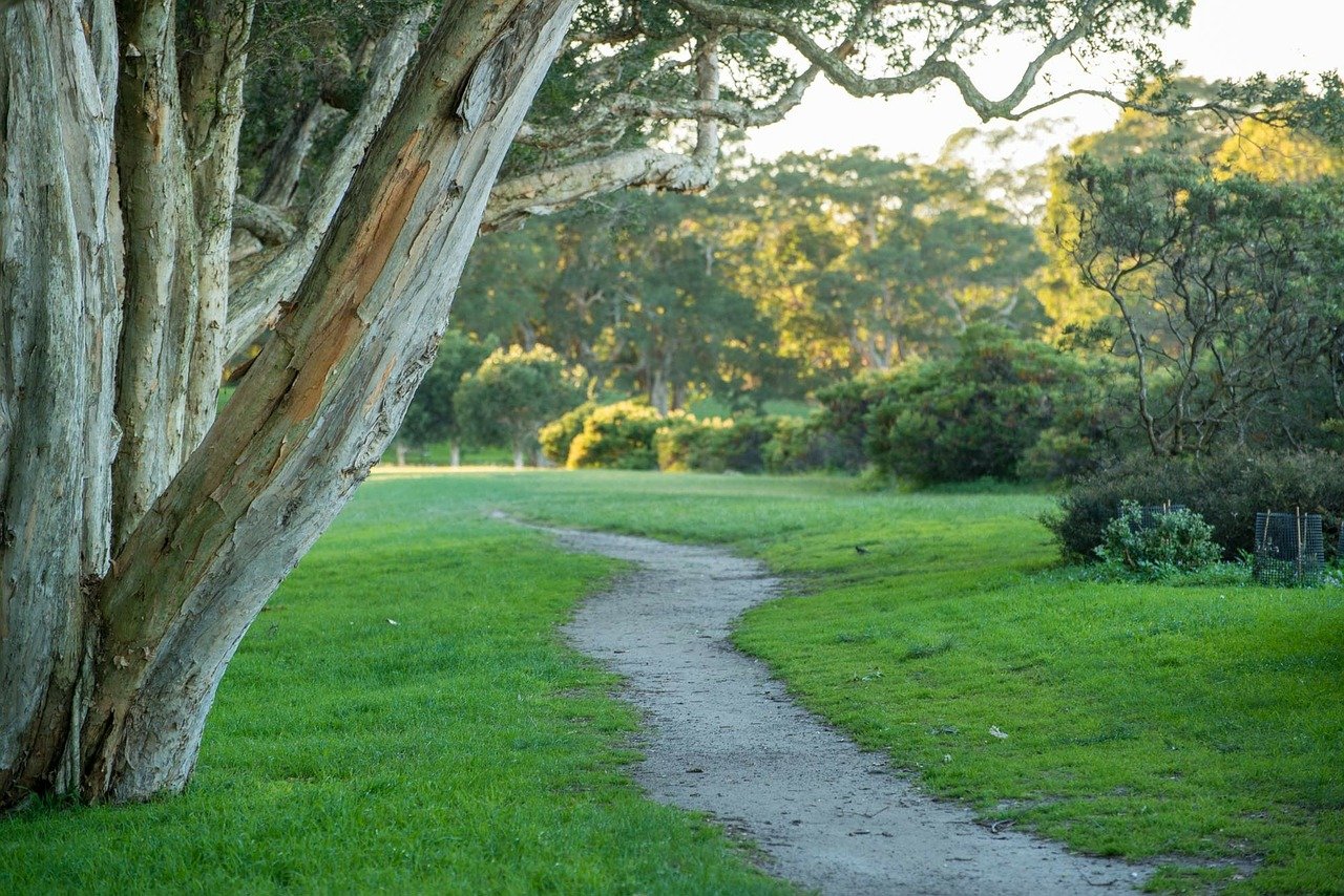 Explore Our Local Parks