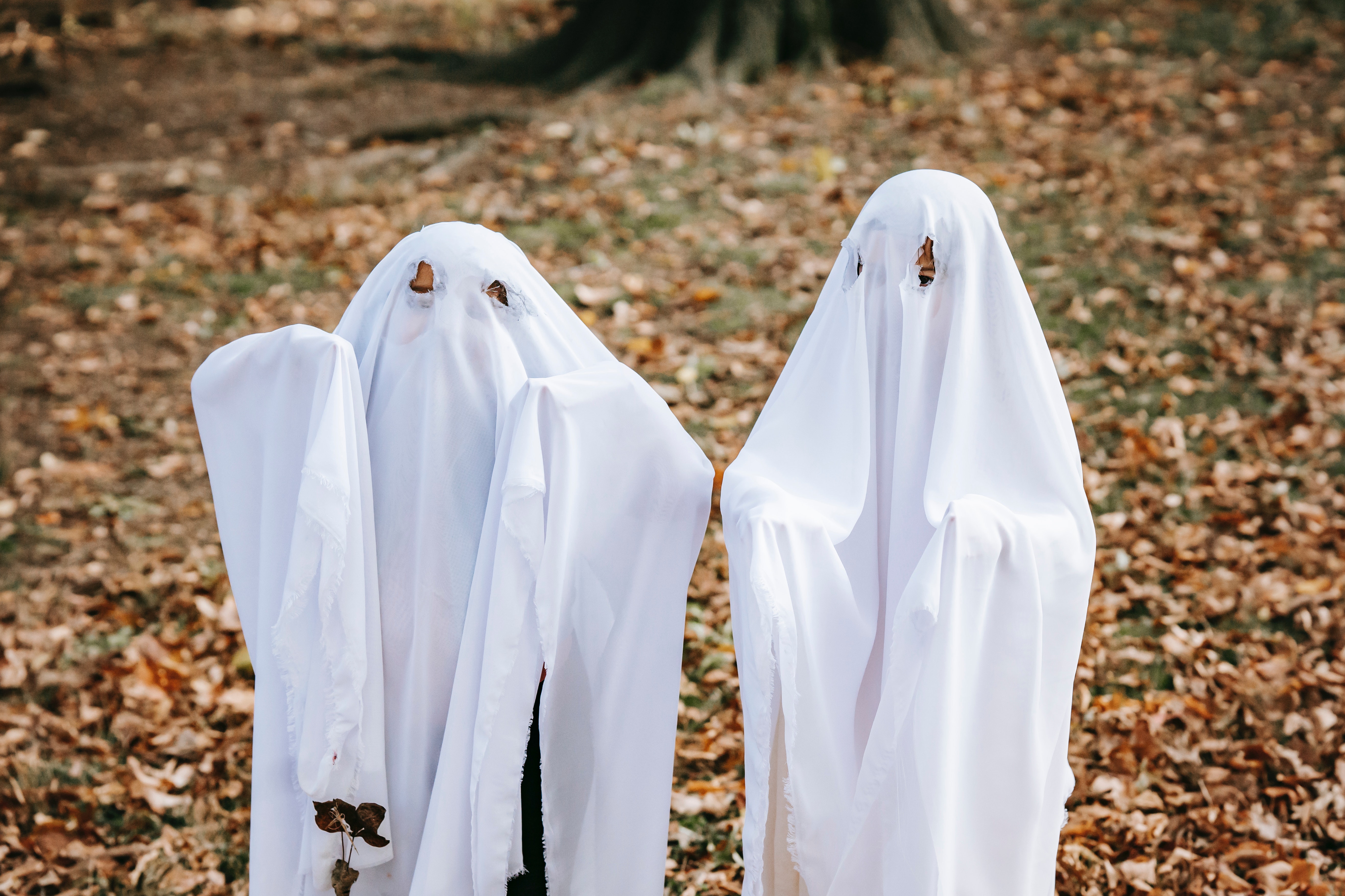 Costume ideas inspired by book characters and events happening this ...